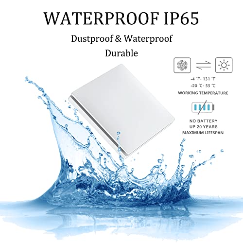 738260309075 – Image 4