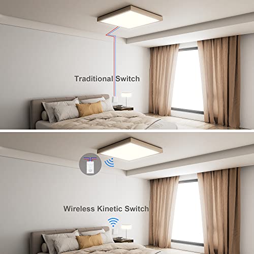 738260309075 – Image 5