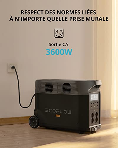 Générateur d'énergie portable Ef Ecoflow Delta Pro Batterie pour la maison extensible 3,6 kWh - 25 kWh, grande sortie CA 3600 W – Image 3