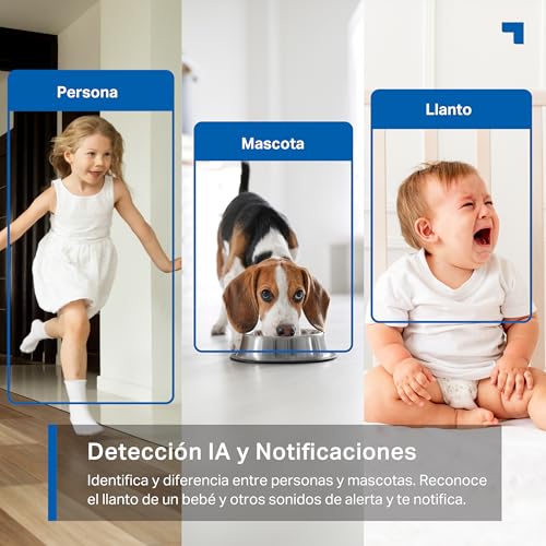 Tapo Caméra Surveillance WiFi/Ethernet intérieure – Image 5